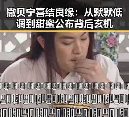 撒贝宁喜结良缘:从默默低调到甜蜜公布背后玄机